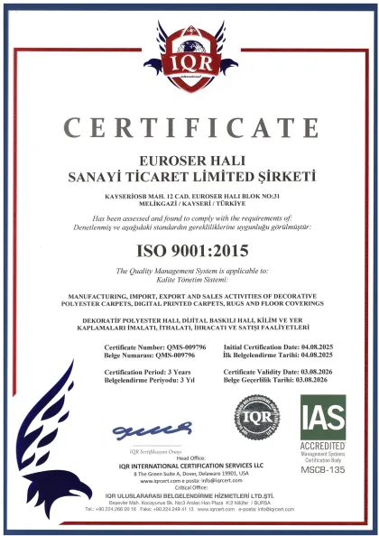 ISO 9001 document preview